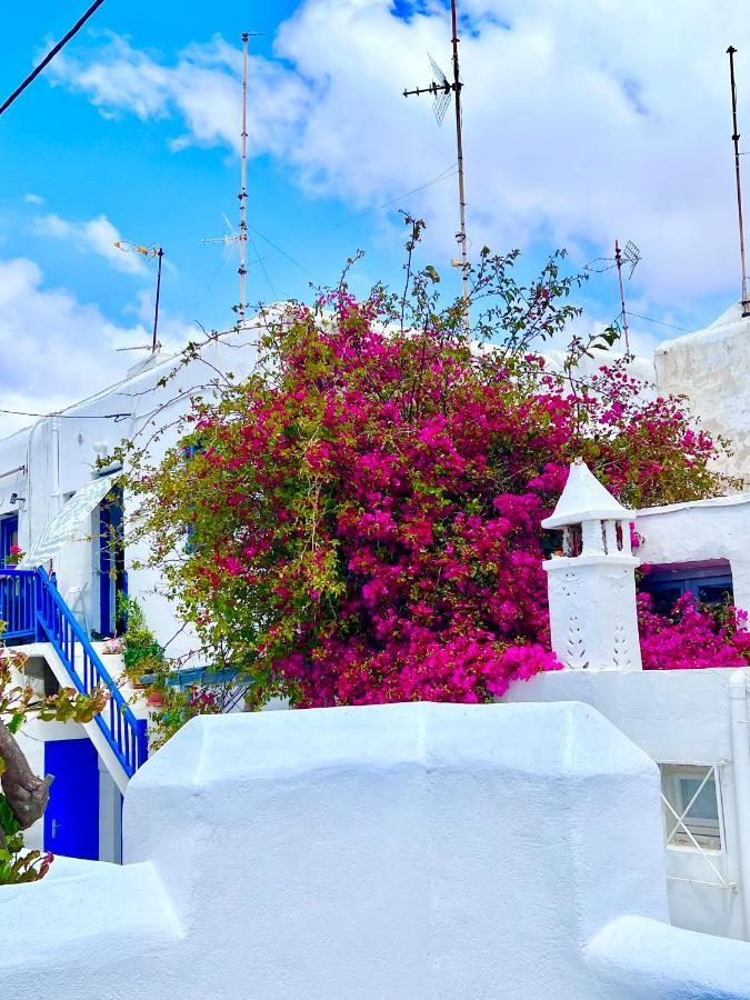 Provis Rentals Suite Next To The Mills In Mykonos Town ภายนอก รูปภาพ
